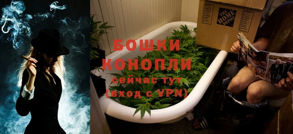 прущие грибы Балабаново
