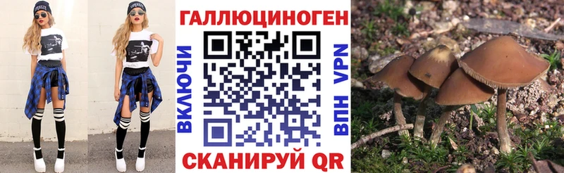Галлюциногенные грибы Psilocybe  закладки  мега маркетплейс  Маркс 